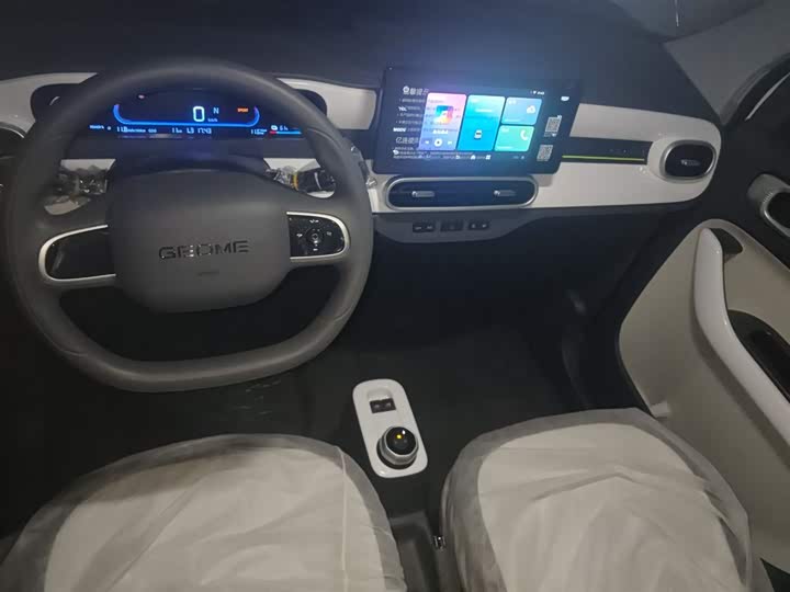 Geely Galaxy Panda Mini 2025 2025款 熊猫mini 210km 元气熊