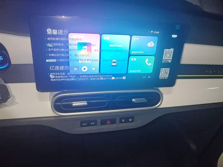 Geely Galaxy Panda Mini 2025 2025款 熊猫mini 210km 元气熊