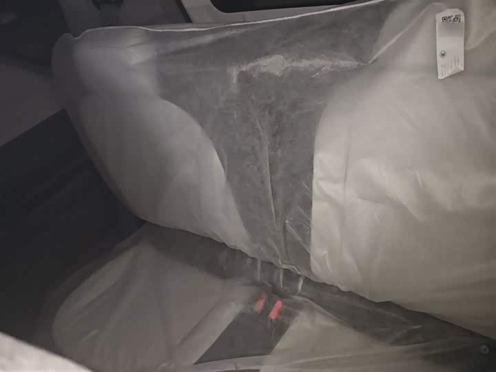 Geely Galaxy Panda Mini 2025 2025款 熊猫mini 210km 元气熊