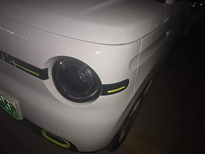 Geely Galaxy Panda Mini 2025 2025款 熊猫mini 210km 元气熊