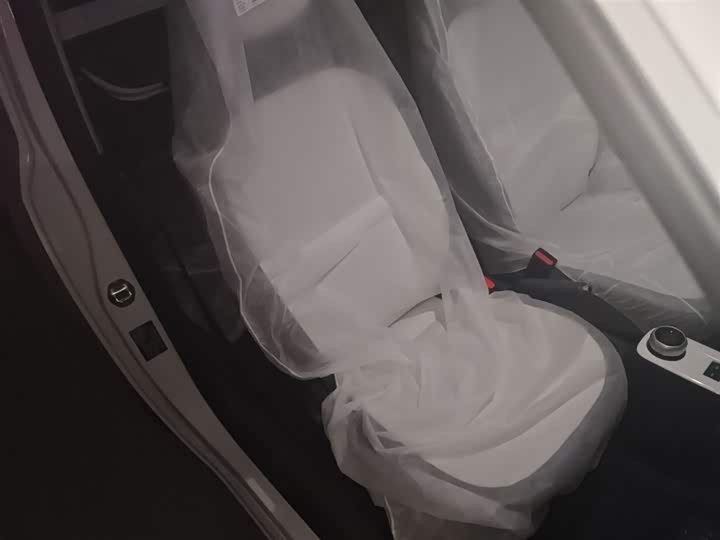 Geely Galaxy Panda Mini 2025 2025款 熊猫mini 210km 元气熊