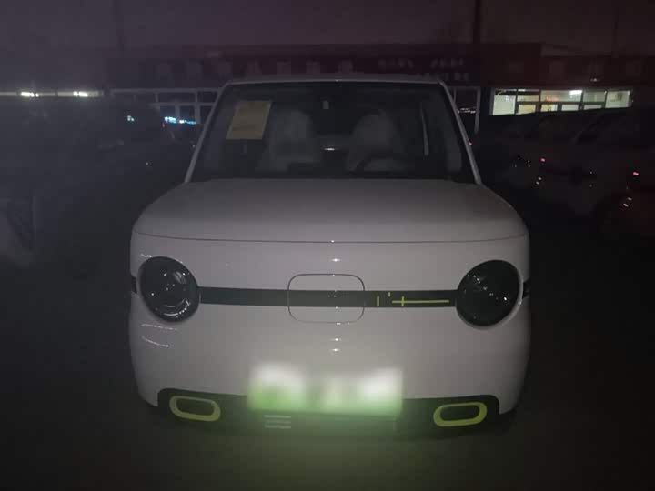 Geely Galaxy Panda Mini 2025 2025款 熊猫mini 210km 元气熊