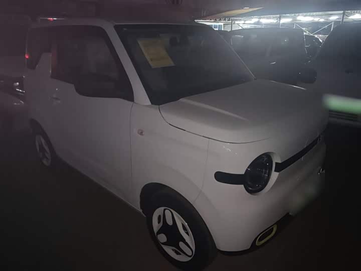Geely Galaxy Panda Mini 2025 2025款 熊猫mini 210km 元气熊