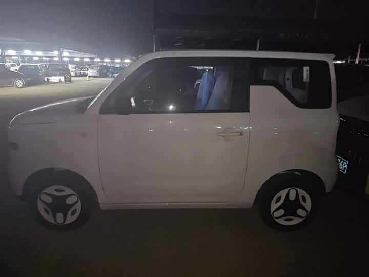 Geely Galaxy Panda Mini 2025 2025款 熊猫mini 210km 元气熊