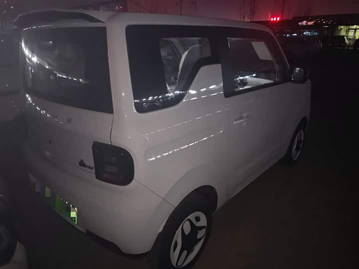 Geely Galaxy Panda Mini 2025 2025款 熊猫mini 210km 元气熊