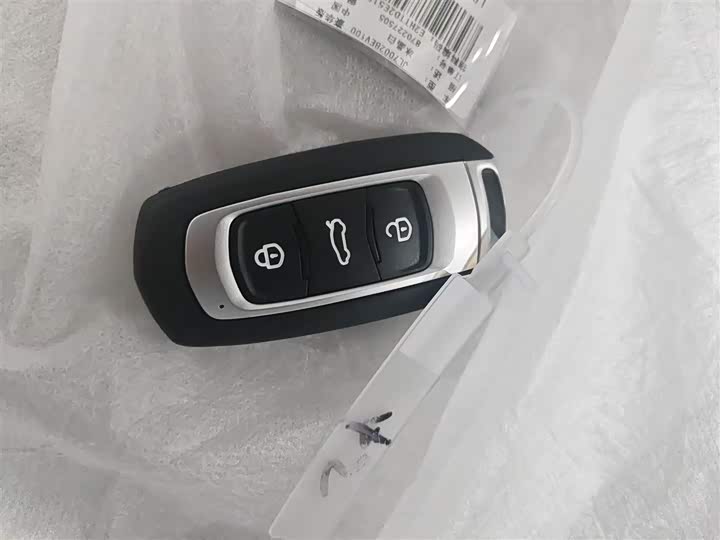 Geely Galaxy Panda Mini 2025 2025款 熊猫mini 210km 元气熊