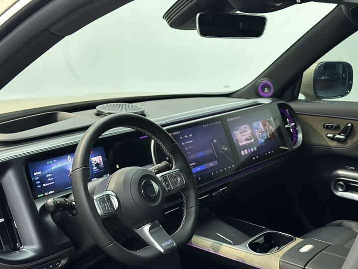 Smart #5 2024 2024款 长续航奇旅 豪华版