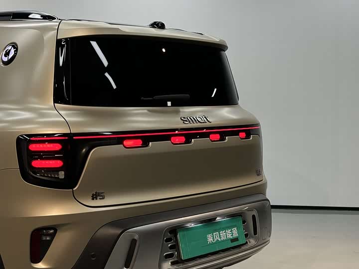 Smart #5 2024 2024款 长续航奇旅 豪华版