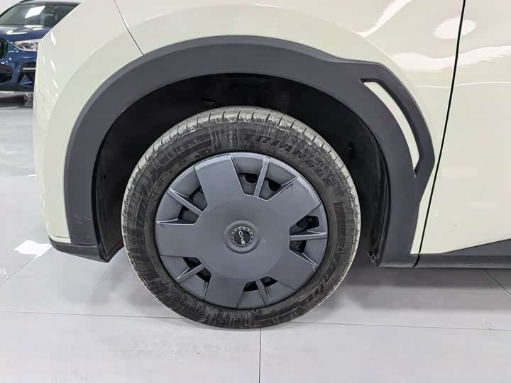 BYD Seagull 2025 2025款 305km 活力版