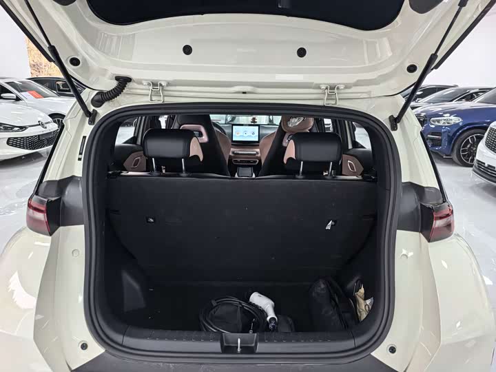 BYD Seagull 2025 2025款 305km 活力版