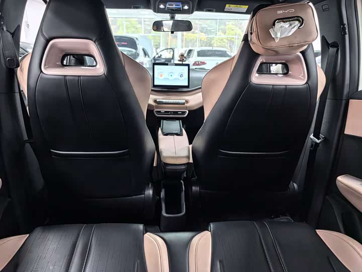 BYD Seagull 2025 2025款 305km 活力版