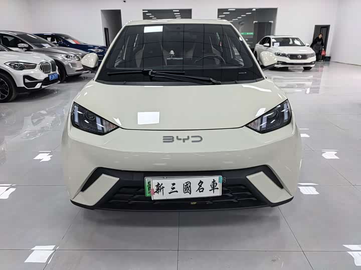 BYD Seagull 2025 2025款 305km 活力版