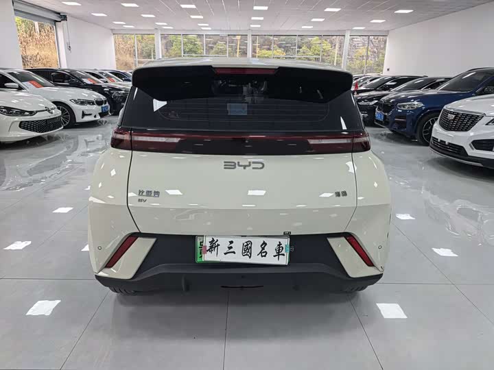 BYD Seagull 2025 2025款 305km 活力版
