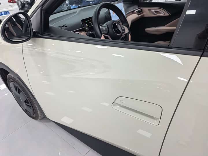 BYD Seagull 2025 2025款 305km 活力版