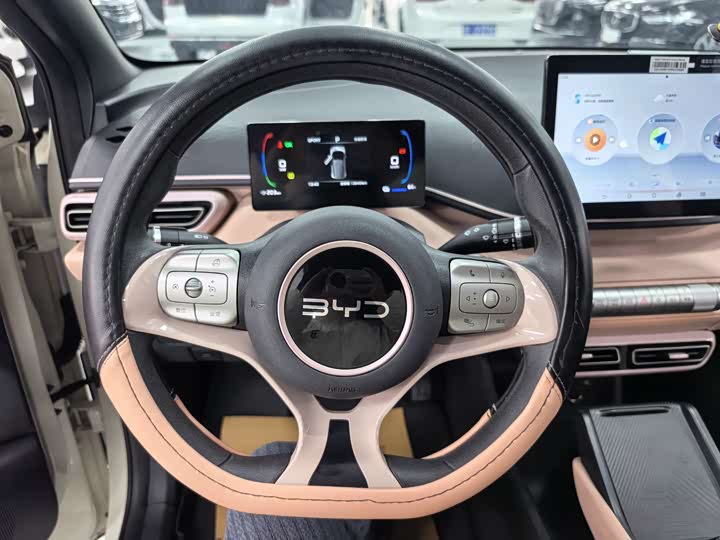 BYD Seagull 2025 2025款 305km 活力版