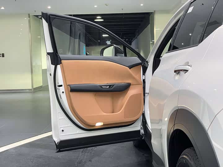 Lexus RZ 2023 2023款 450e 四驱纵享版