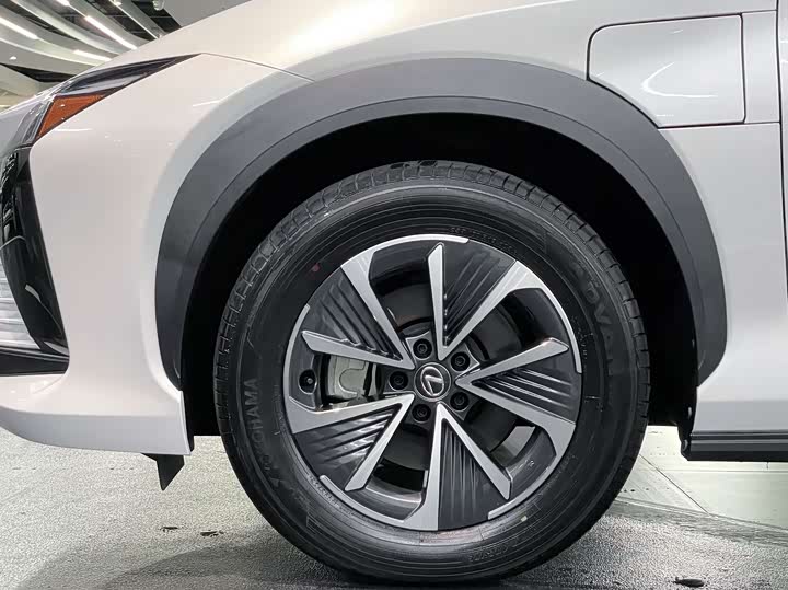 Lexus RZ 2023 2023款 450e 四驱纵享版