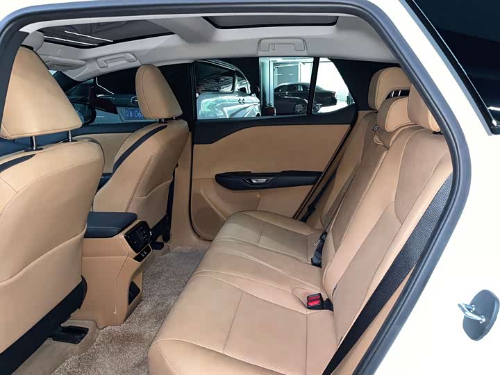 Lexus RZ 2023 2023款 450e 四驱纵享版