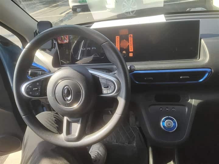 Ora White Cat 2020 2020款 401km 旗舰型