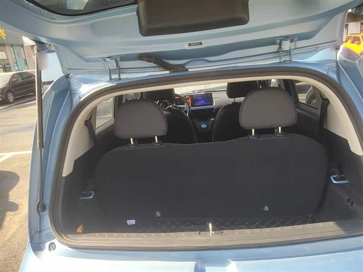 Ora White Cat 2020 2020款 401km 旗舰型