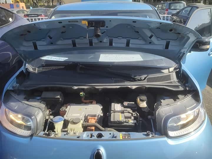 Ora White Cat 2020 2020款 401km 旗舰型