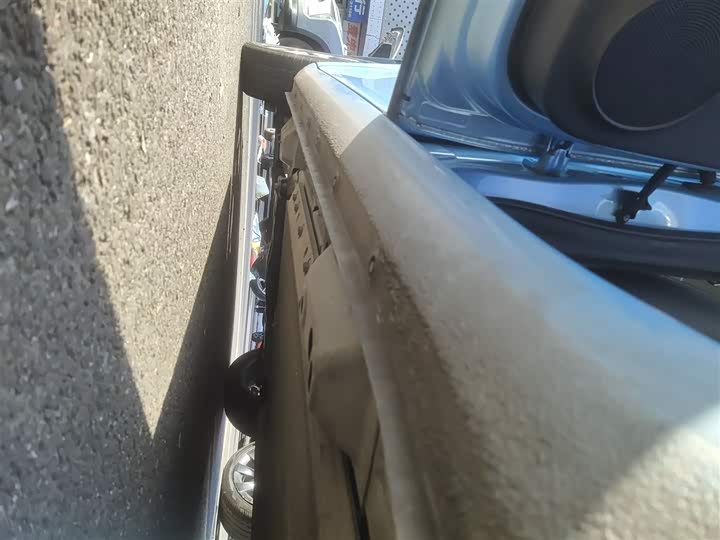 Ora White Cat 2020 2020款 401km 旗舰型