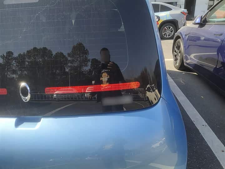 Ora White Cat 2020 2020款 401km 旗舰型