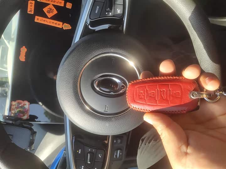 Ora White Cat 2020 2020款 401km 旗舰型