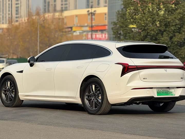 Hozon S Hunting 2024 2024款 增程300 标准版