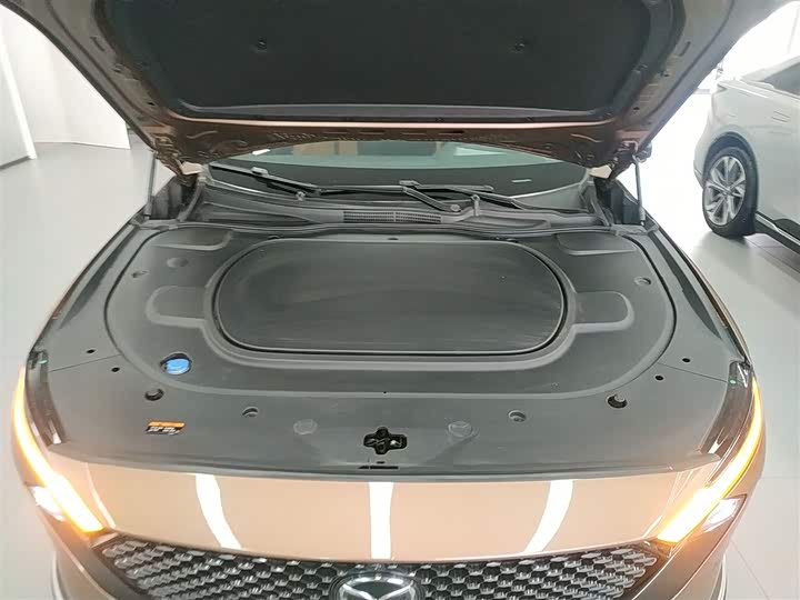 Mazda EZ-6 2024 2024款 增程200智尊版