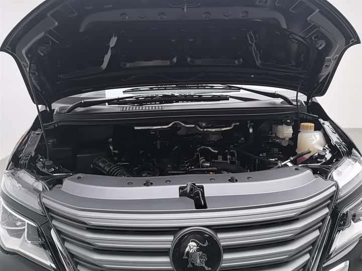 Dongfeng Forthing Lingzhi M5 2024 2024款 M5L 1.5T 手动豪华型 7座