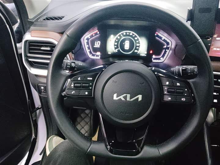 Kia Sportage GT-line 2021 2021款 Ace 2.0L 精彩版