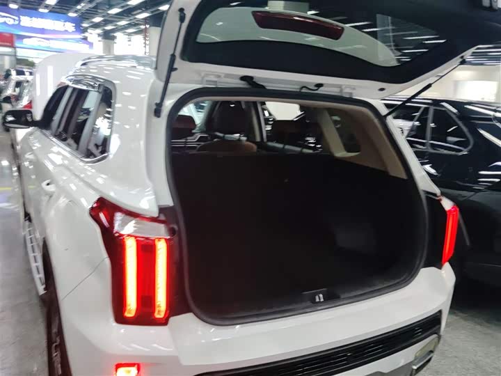 Kia Sportage GT-line 2021 2021款 Ace 2.0L 精彩版