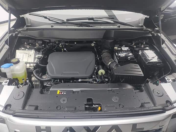 Haval Dargo 2024 2024款 1.5T DCT边牧版