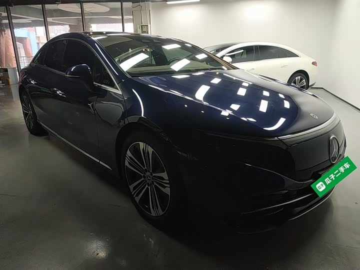 Mercedes-Benz EQS 2022 2022款 改款 450+ 先锋版