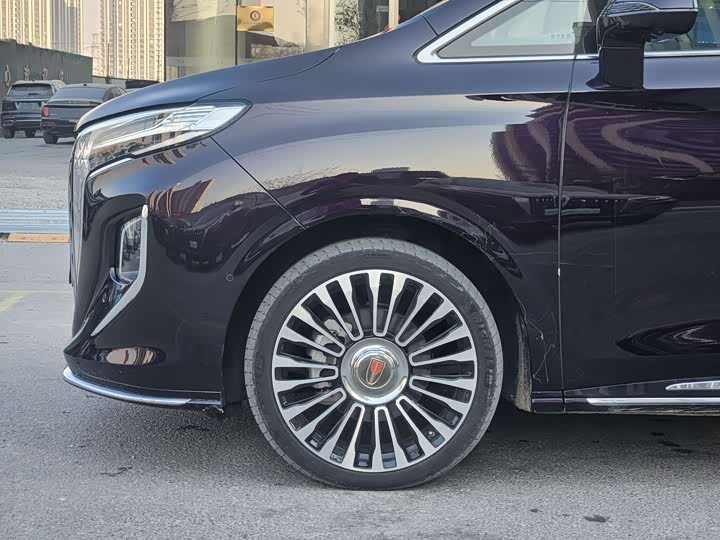 Hongqi HQ9 2023 2023款 2.0T 智联旗领版