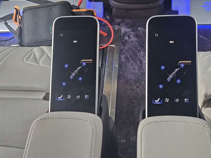 Hongqi HQ9 2023 2023款 2.0T 智联旗领版