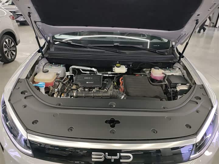 BYD Sea Lion 05 DM-i Hybrid 2025 2025款 DM-i 智驾版 115KM旗舰型