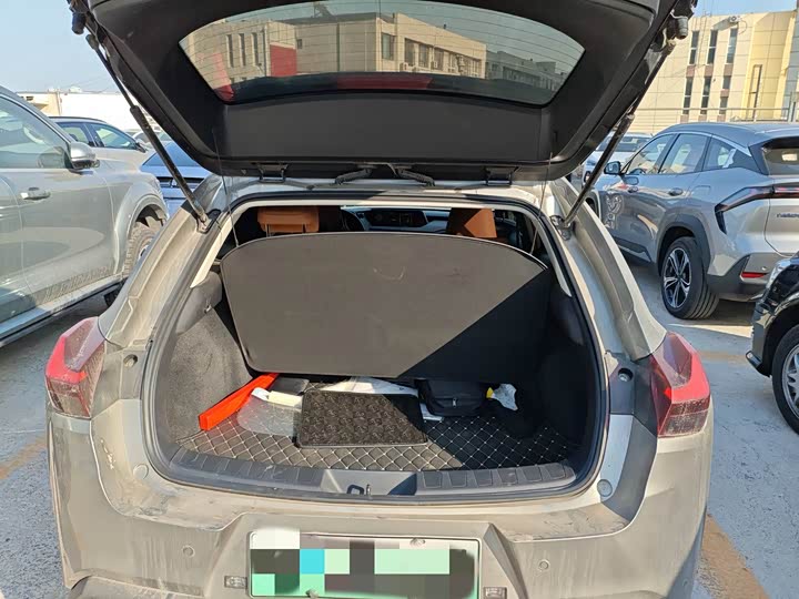 Lexus UX Hybrid 2020 2020款 300e 纯·悦版