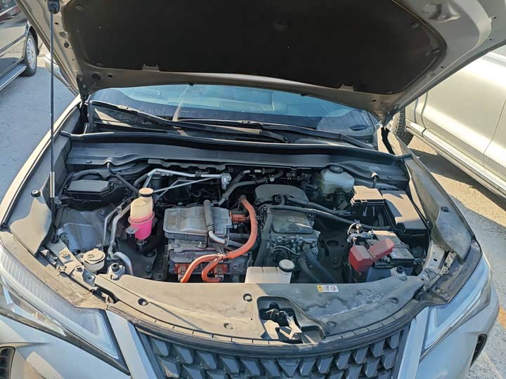 Lexus UX Hybrid 2020 2020款 300e 纯·悦版