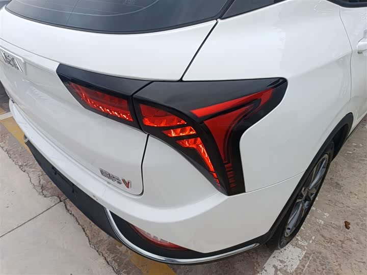 Hozon V 2022 2022款 潮 400