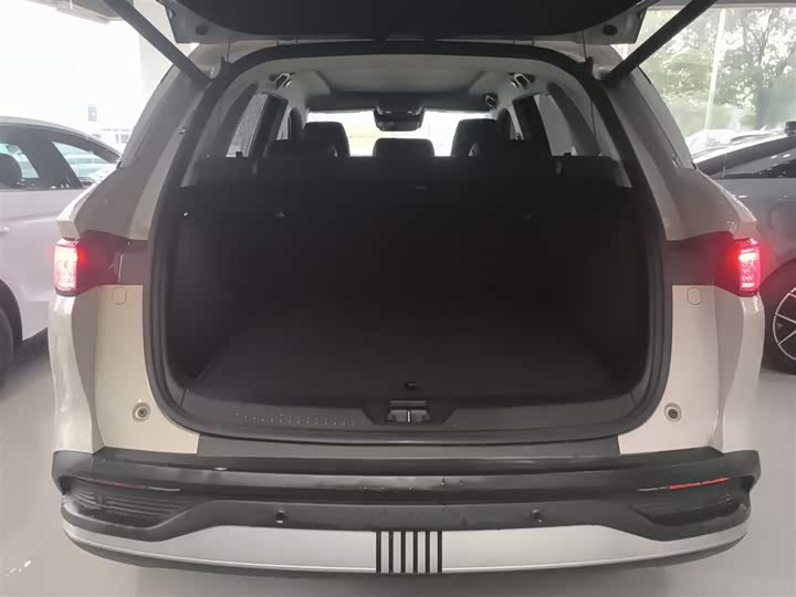 BYD Sea Lion 05 DM-i Hybrid 2025 2025款 DM-i 智驾版 115KM旗舰型