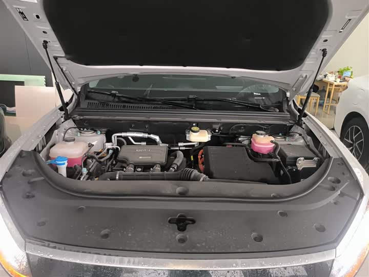 BYD Sea Lion 05 DM-i Hybrid 2025 2025款 DM-i 智驾版 115KM旗舰型