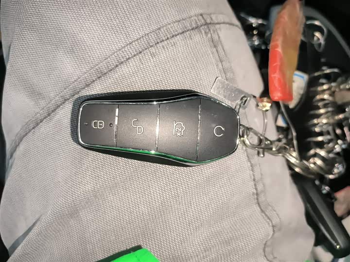 BYD Sea Lion 05 DM-i Hybrid 2025 2025款 DM-i 智驾版 115KM旗舰型