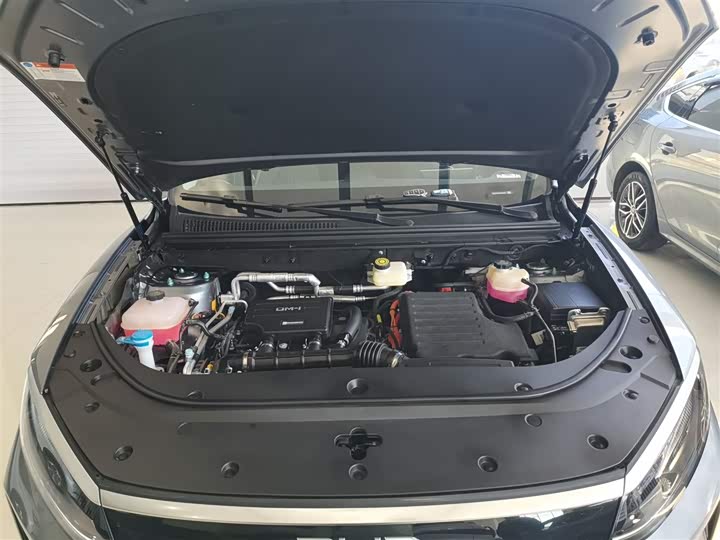 BYD Sea Lion 05 DM-i Hybrid 2025 2025款 DM-i 智驾版 115KM旗舰型