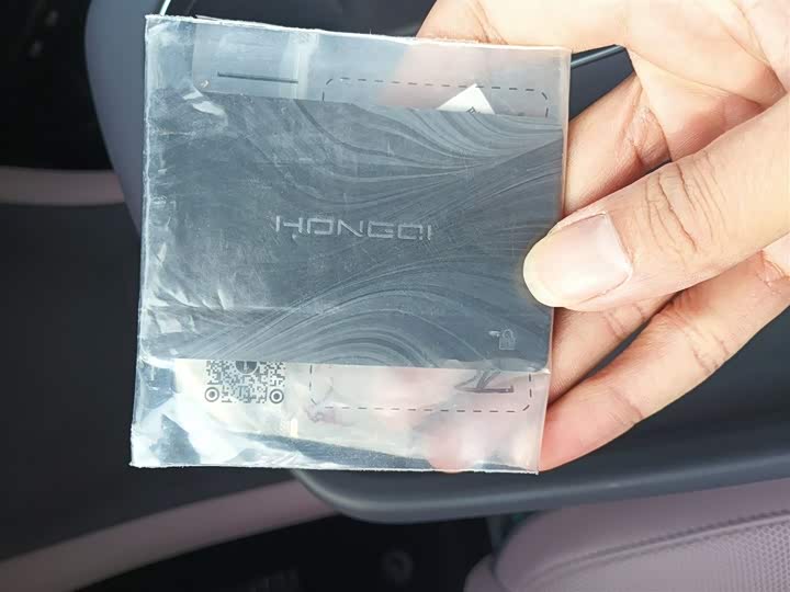 Hongqi EH5 (Tiangong 05) 2025 2025款 550智选版