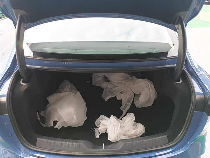 Hongqi EH5 (Tiangong 05) 2025 2025款 550智选版