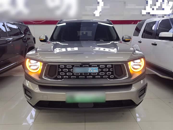 Haval H-Dog Hybrid 2023 2023款 DHT-PHEV 105km 潮电版Plus