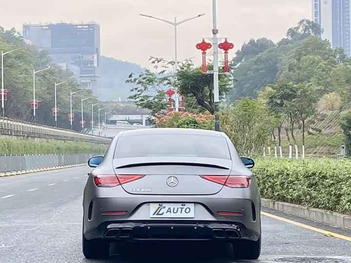 Mercedes-Benz CLS-Class 2023 2023款 CLS 260