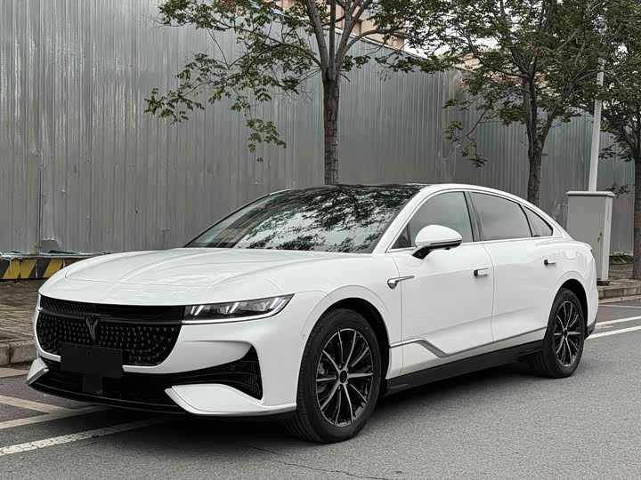 Voyah Passion 2024 2024款 PHEV 四驱超长续航行政版